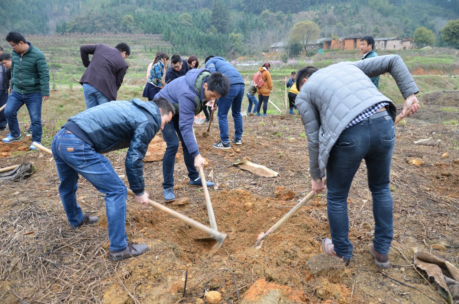 團員青年義務植樹活動.jpg 團員青年義務植樹活動.jpg